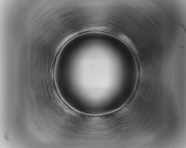 X0000100971436200807011411