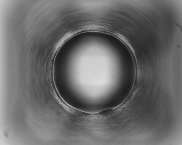 X0000100971437200807011411