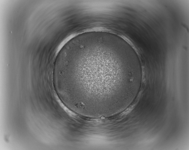 X0000100971438200807011411