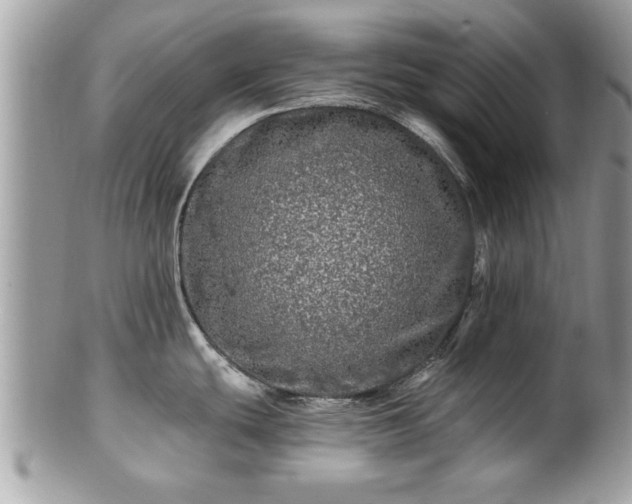 X0000100971439200807011411