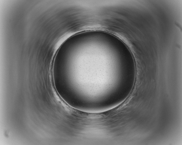X0000100971440200807011411