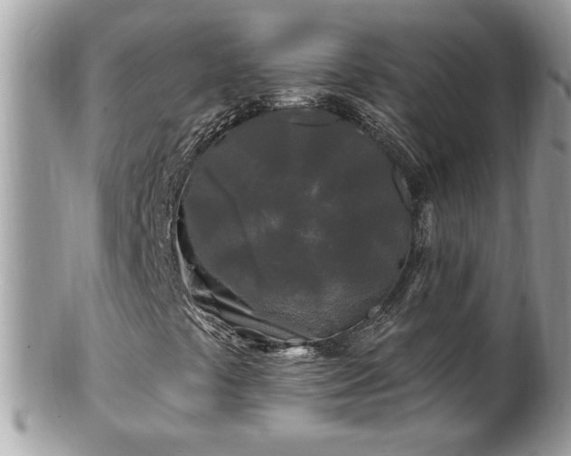 X0000100971441200807011410