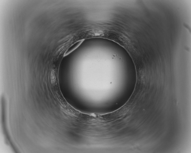 X0000100971442200807011410