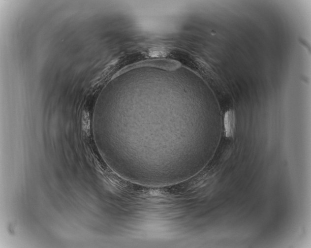 X0000100971443200807011410