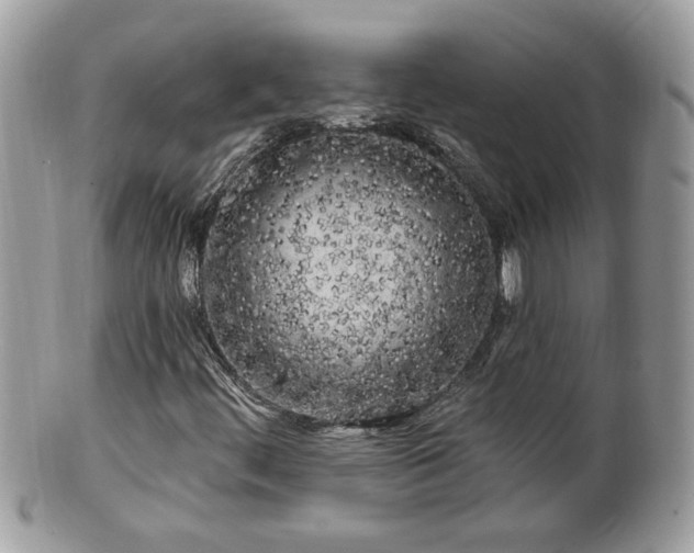 X0000100971444200807011410