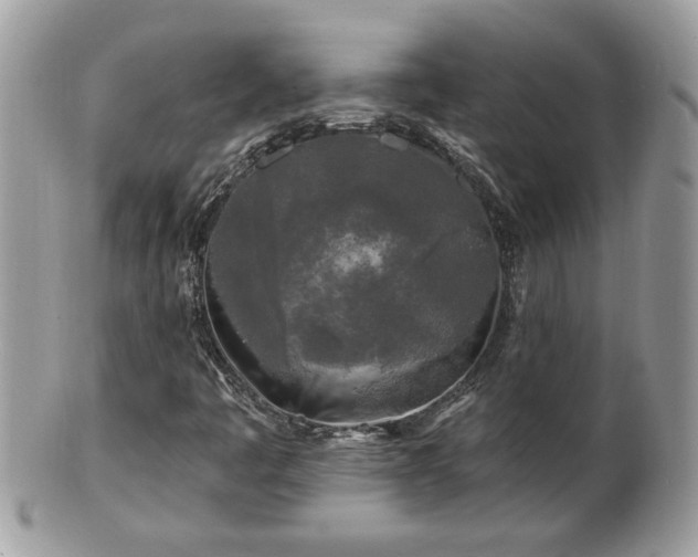 X0000100971445200807011410