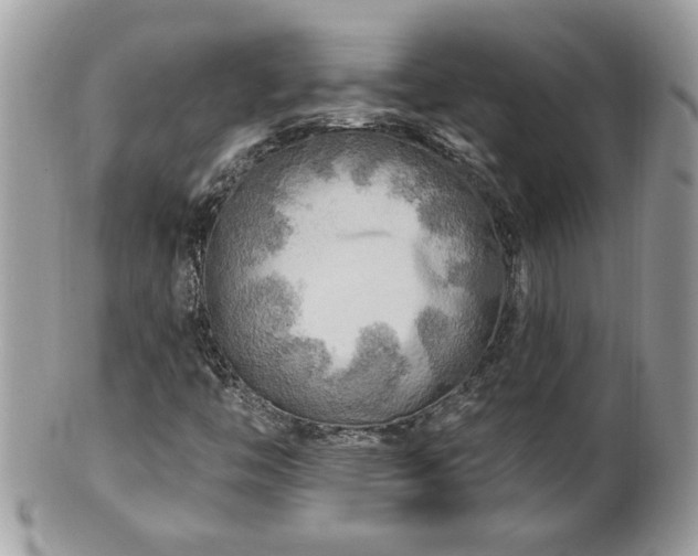 X0000100971446200807011410