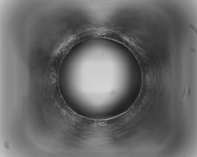 X0000100971447200807011410