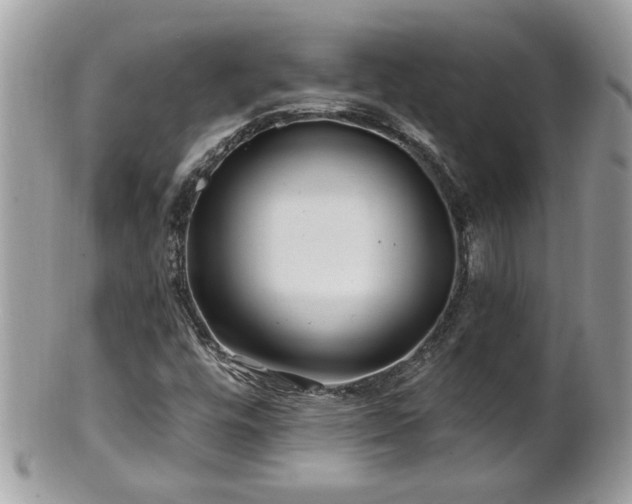 X0000100971448200807011410