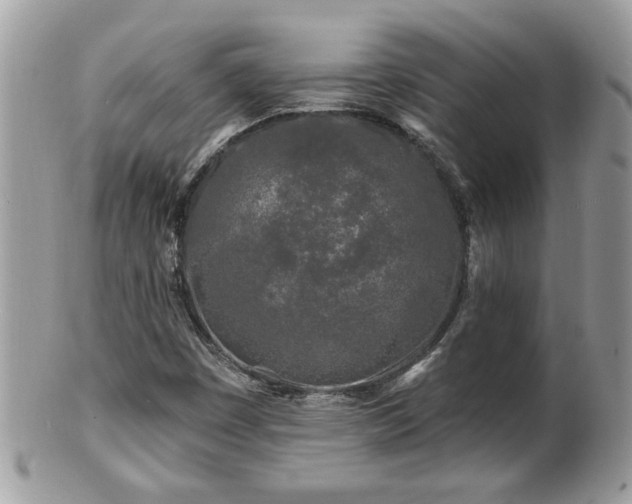 X0000100971449200807011410