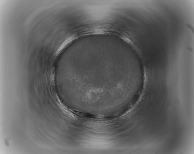 X0000100971450200807011410