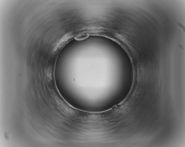 X0000100971451200807011410