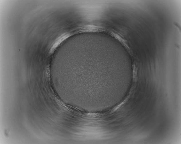 X0000100971453200807011410