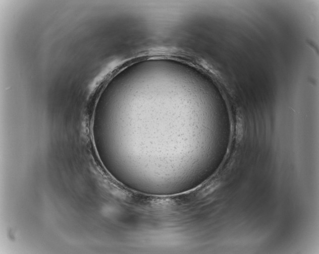 X0000100971454200807011410