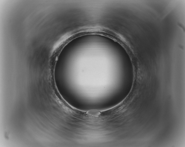 X0000100971456200807011410