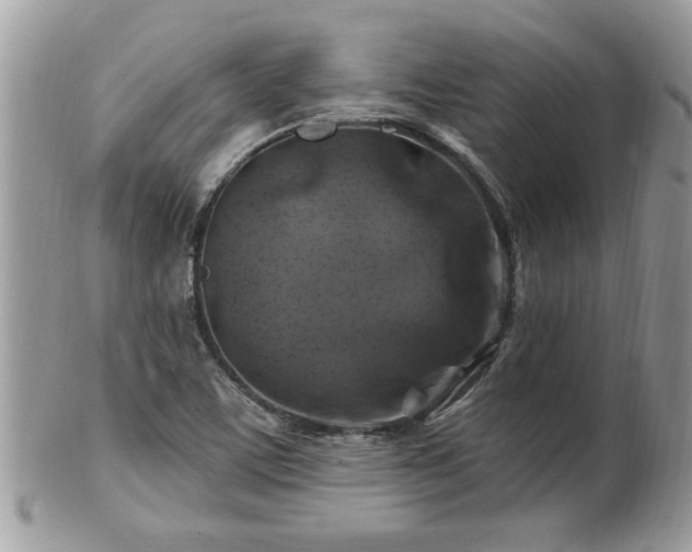 X0000100971459200807011410