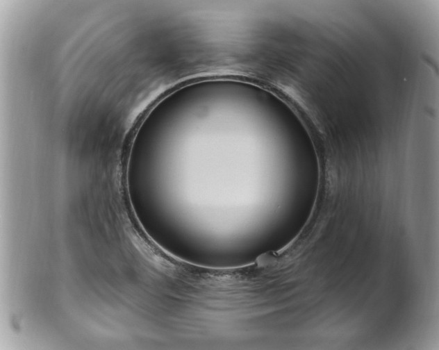 X0000100971460200807011410