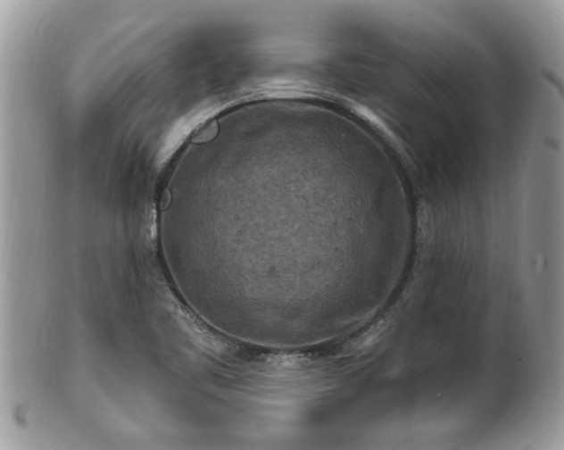 X0000100971461200807011410