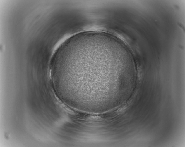 X0000100971462200807011410