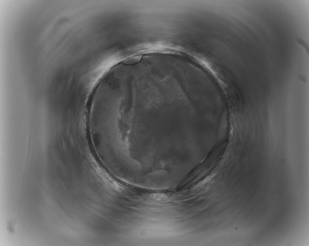 X0000100971463200807011410