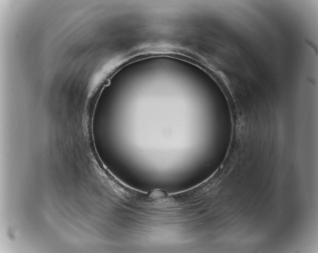 X0000100971464200807011410