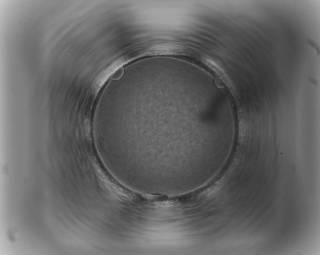 X0000100971465200807011410