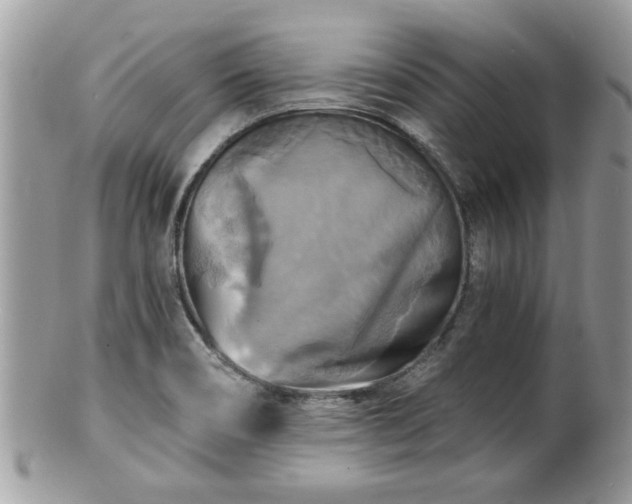 X0000100971466200807011410