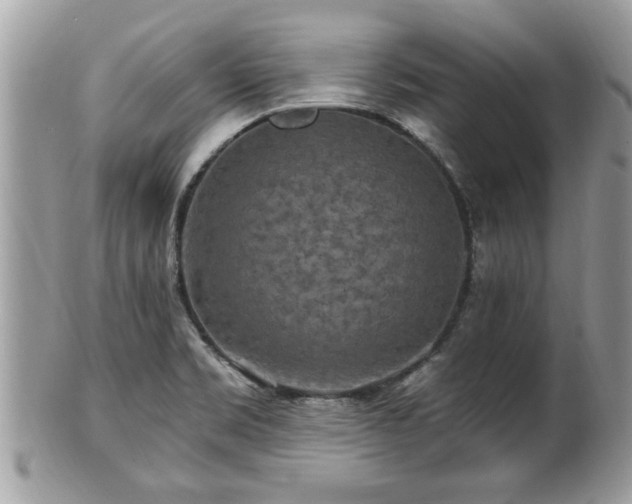X0000100971469200807011410