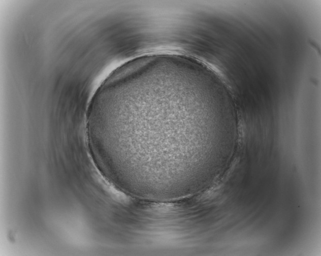 X0000100971470200807011409