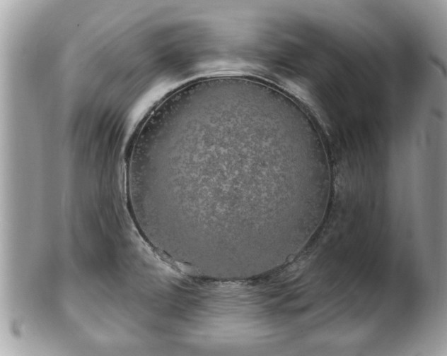 X0000100971472200807011409