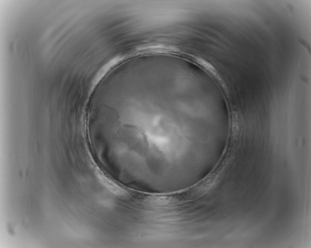 X0000100971474200807011409