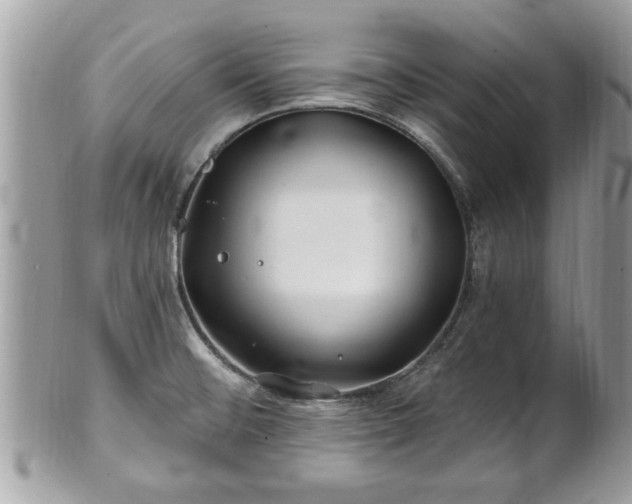 X0000100971476200807011409