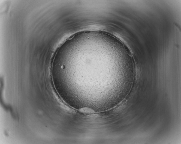 X0000100971477200807011409