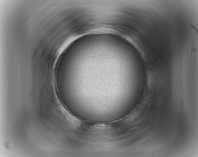 X0000100971478200807011409