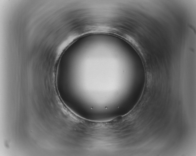 X0000100971480200807011409
