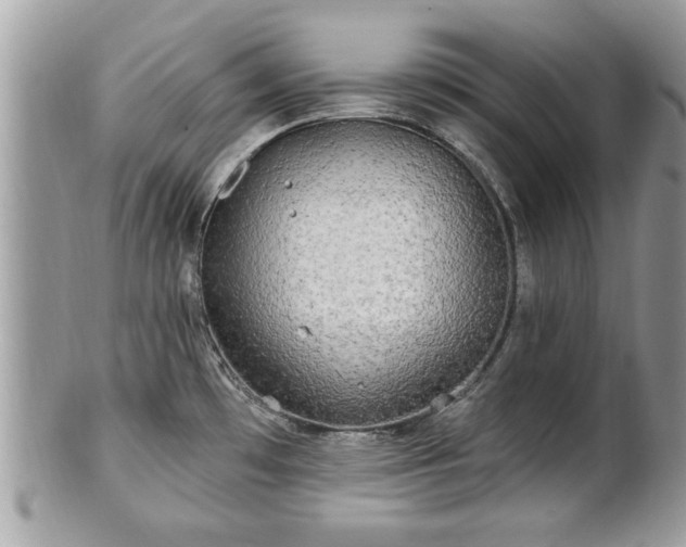 X0000100971481200807011409