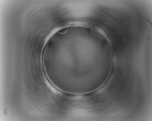 X0000100971482200807011409