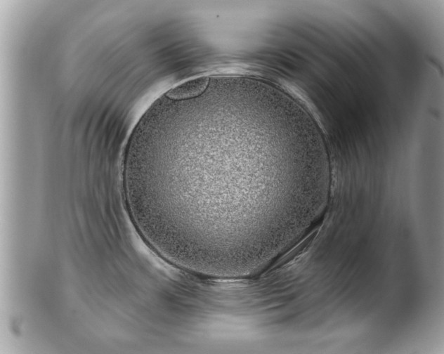 X0000100971483200807011409