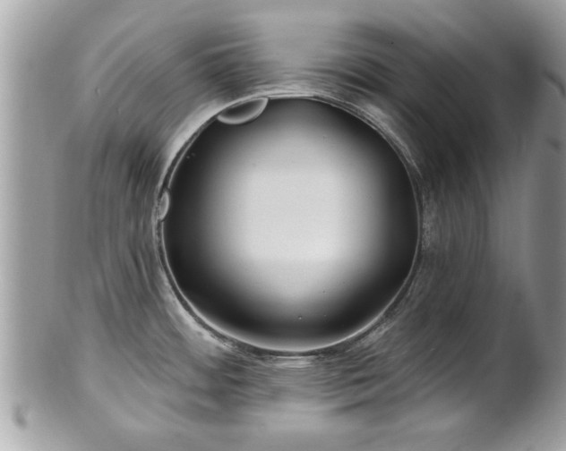X0000100971484200807011409