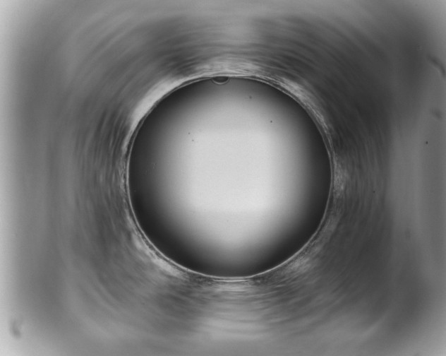 X0000100971486200807011409