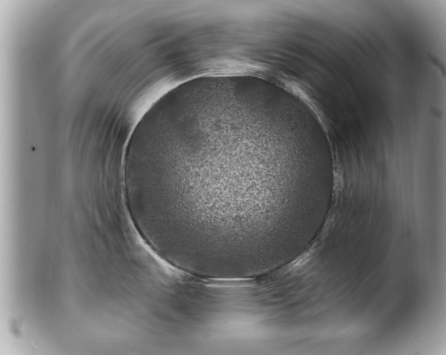X0000100971487200807011409