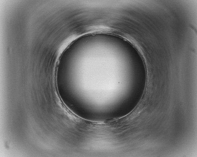 X0000100971488200807011409