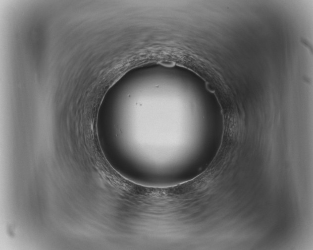 X0000100971489200807011408