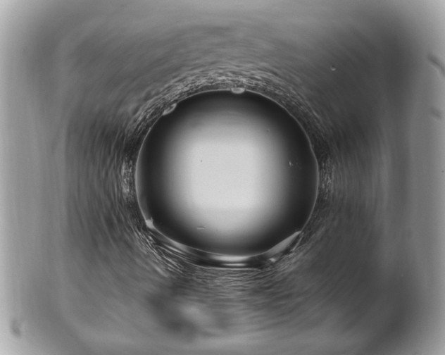 X0000100971490200807011409
