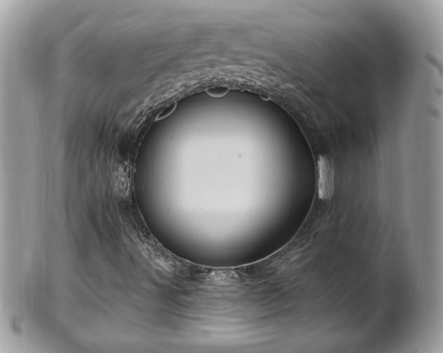 X0000100971491200807011409