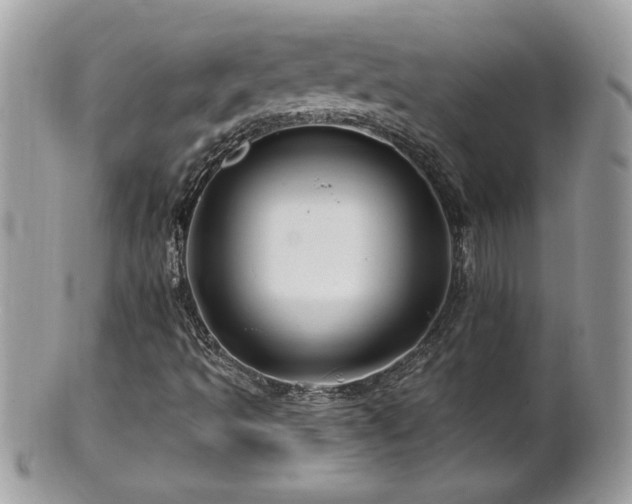 X0000100971493200807011409