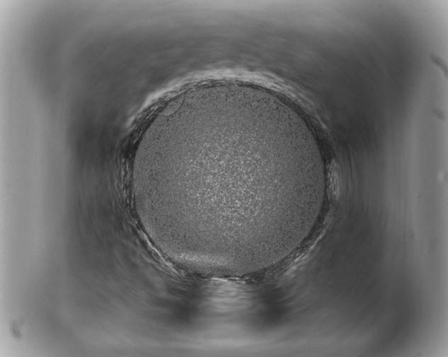 X0000100971494200807011409