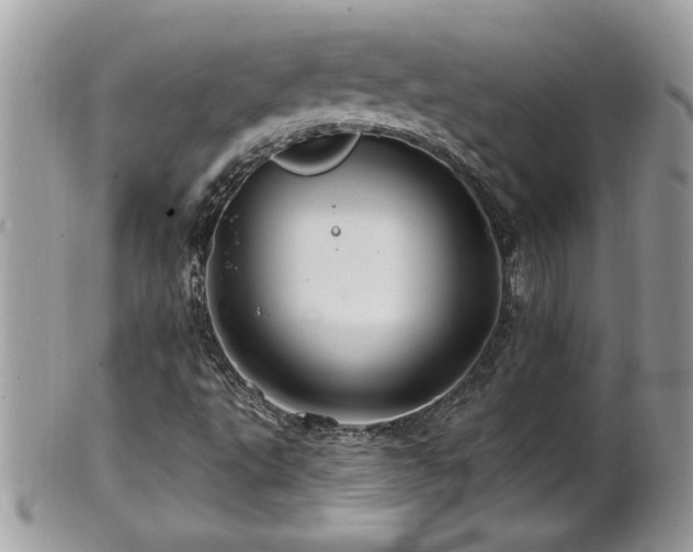 X0000100971495200807011409