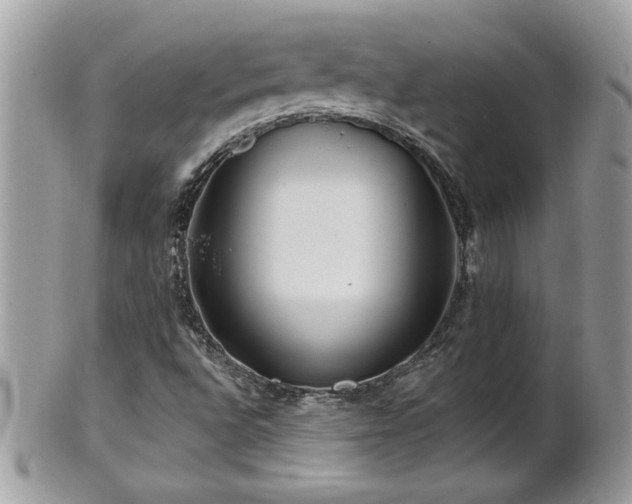 X0000100971496200807011409