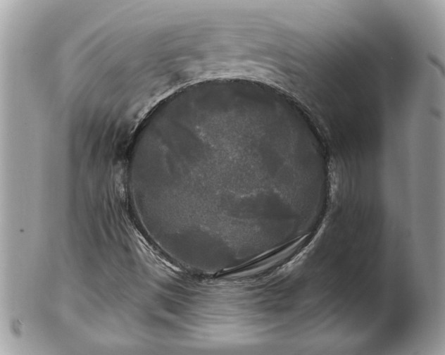 X0000100971497200807011409